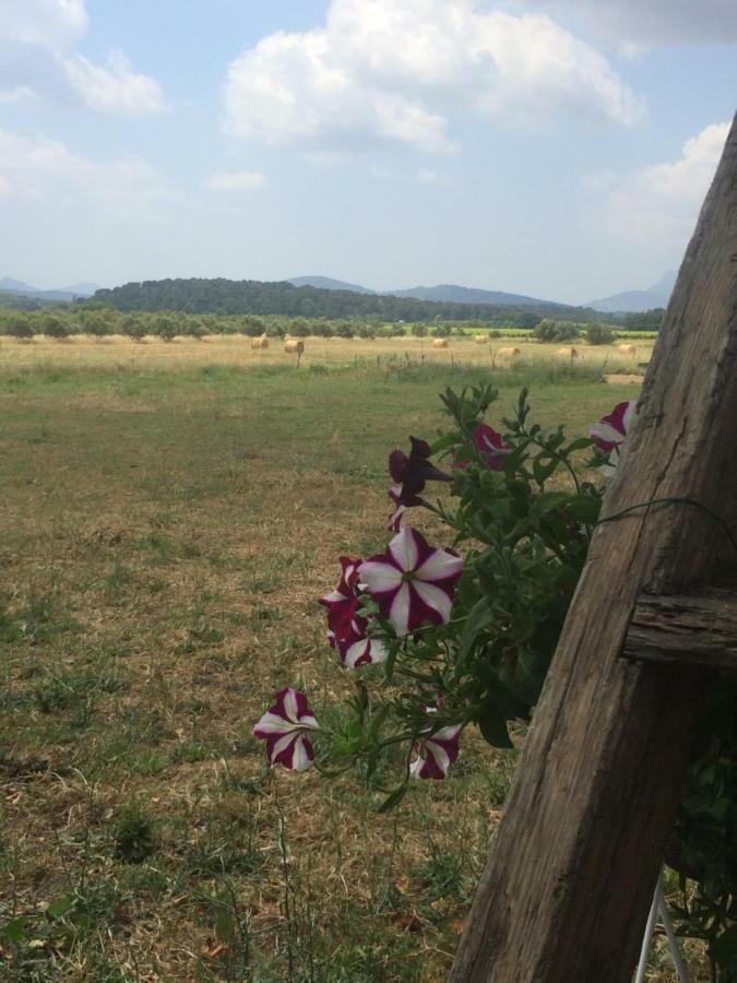 Puget-Ville Domaine De Camp Joyeux 아파트 외부 사진