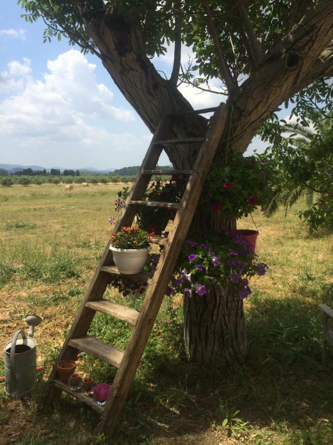 Puget-Ville Domaine De Camp Joyeux 아파트 외부 사진